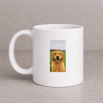 DA Basic Before image 3